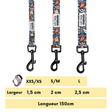 Laisse Nylon pour chien - Fall in Love